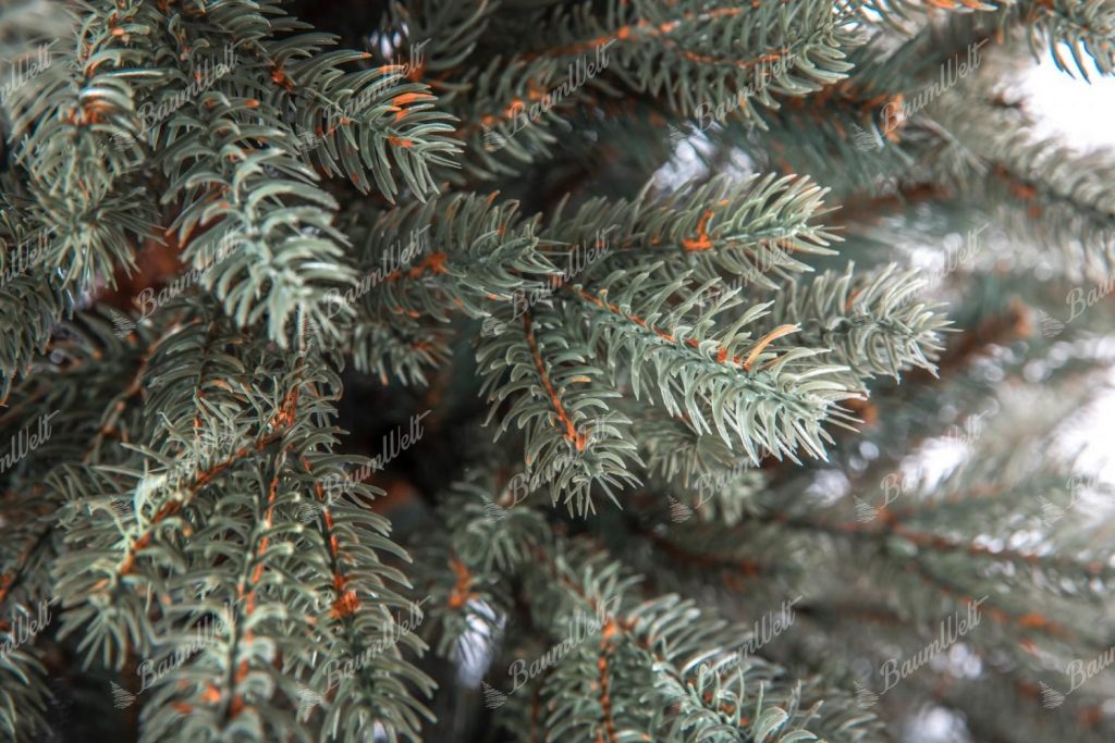 Künstlicher Weihnachtsbaum 3D Eisfichte Schmal