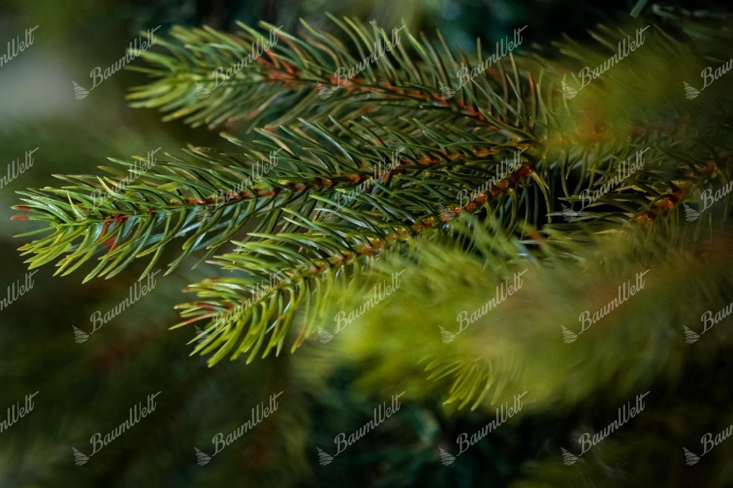 Künstlicher Weihnachtsbaum 3D Skandinavische Fichte