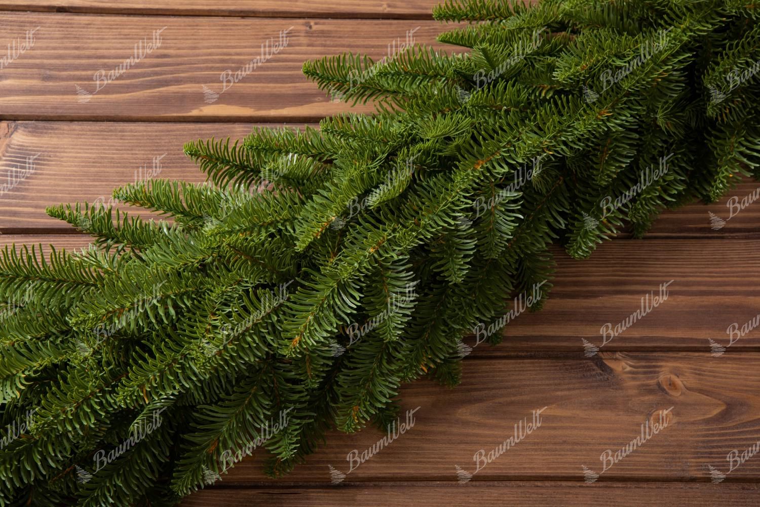 Weihnachtsgirlande 3D Kaukasus Tanne