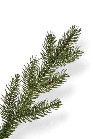 Künstlicher Weihnachtsbaum FULL 3D Fichte Exklusiv, hat dichte grüne Nadeln