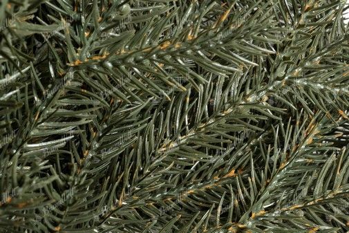 Weihnachtskranz 3D Alpenfichte 50cm, hat dichte grüne Zweige
