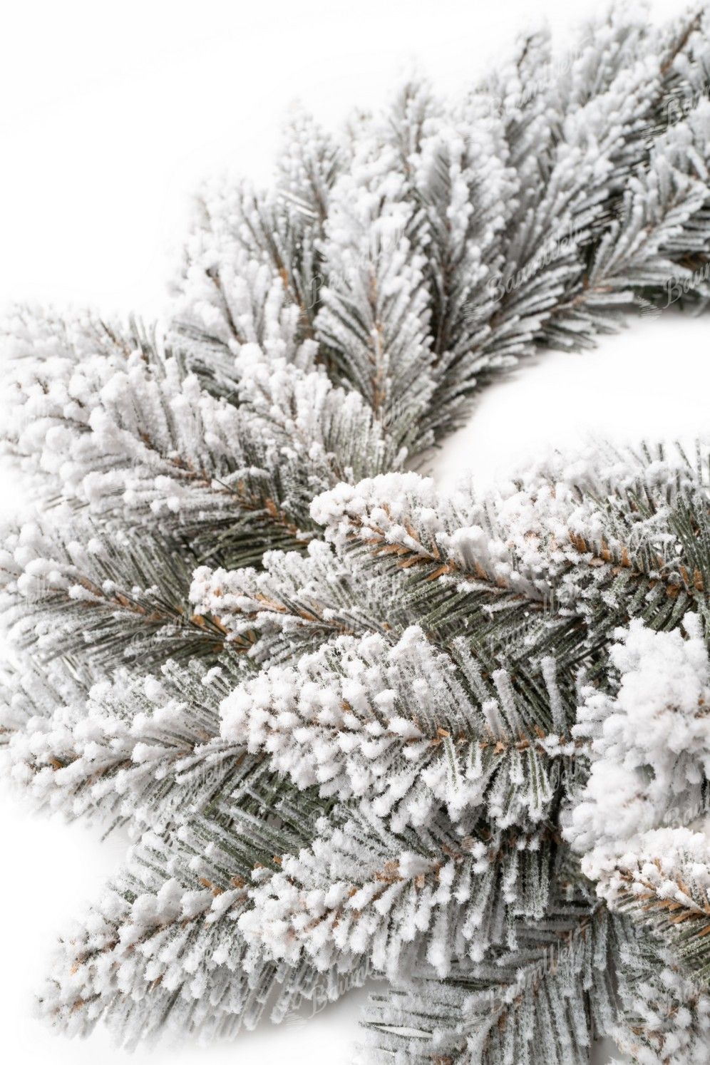 Weihnachtskranz Weiß-Fichte 50cm, hat dick verschneite Zweige