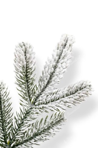 Künstlicher Weihnachtsbaum 3D Grönlandfichte, der Zweig ist dicht mit Schnee bedeckt