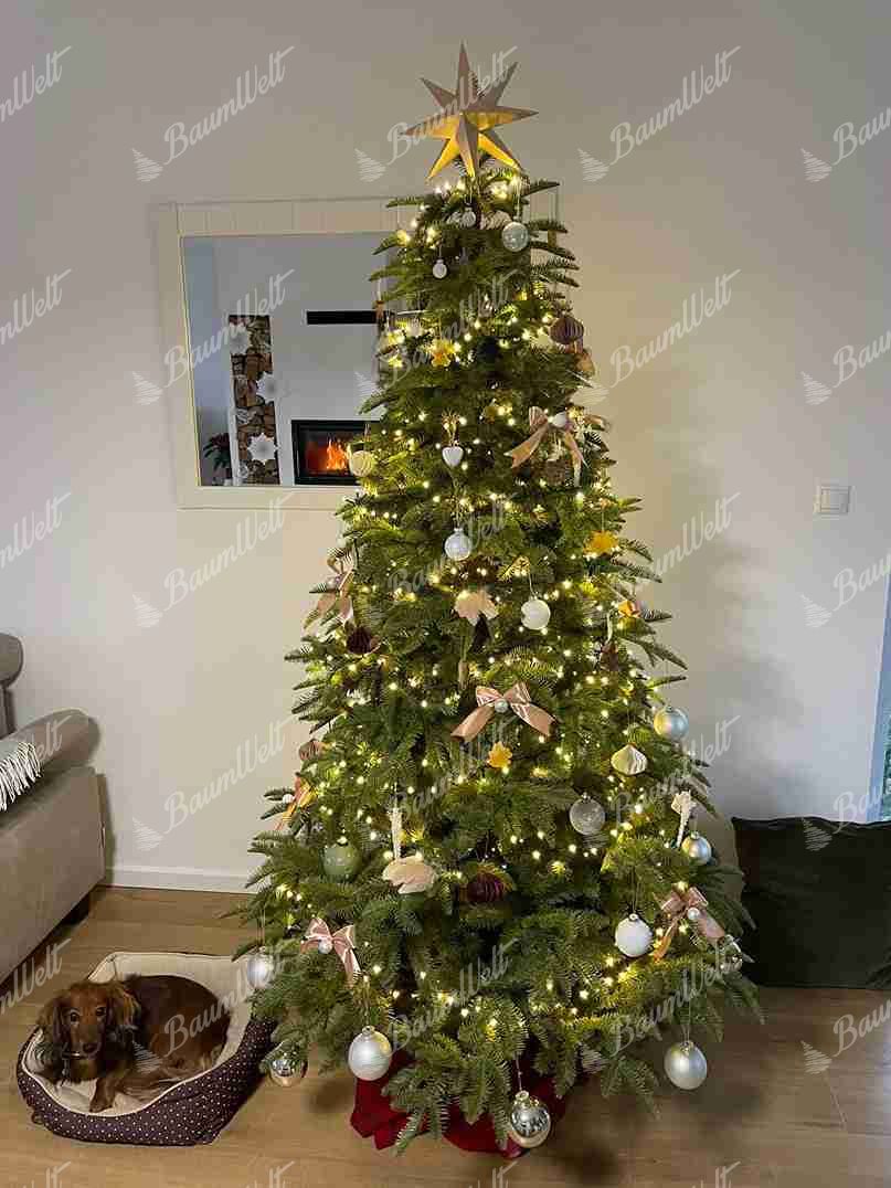 Künstlicher Weihnachtsbaum 3D Kaukasus-Tanne 210cm, ist mit weißen und silbernen Verzierungen geschmückt
