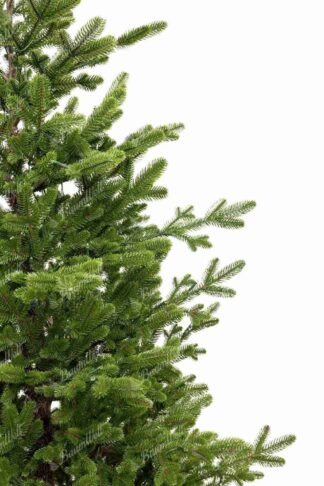 Künstlicher Weihnachtsbaum FULL 3D Schweizer Fichte