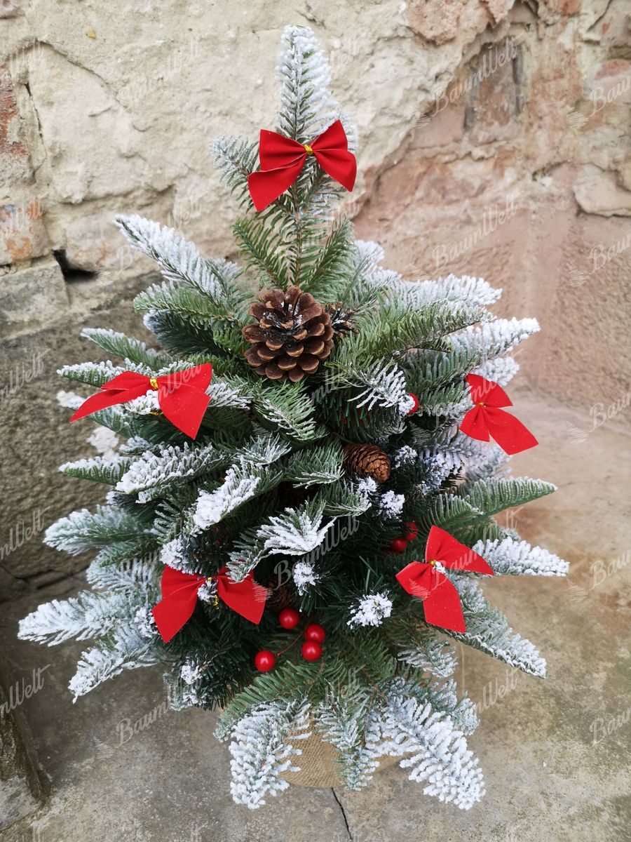 Weihnachtsbaum im Topf 3D-Tanne mit Kunstschnee 60cm